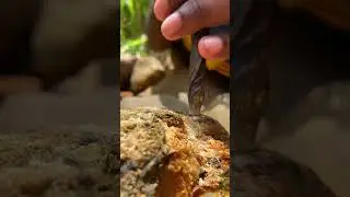 We Crack Open This Rock! Treasure Inside?! 🧐💎 #RockHound #gemstones #satisfying #roughgems  #rock