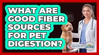 What Are Good Fiber Sources For Pet Digestion?