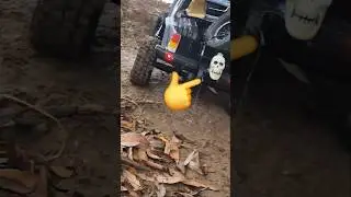 Schafft er es trotzdem? 💪 Reely Freemen &ndash; der beste RC Crawler?