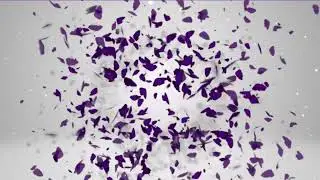 Purple Butterfly Logo Reveal Intro Template No Text Free Copyright
