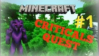 Minecraft - Criticals Quest #1