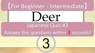 【For Beginner-Intermediate】Animals & Insects Japanese Quiz / 50 Questions and Answers #3