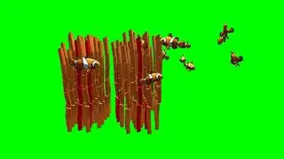 Nemo Tropical Fish With Sea Anemone Green Screen Part 1