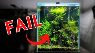 Sometimes We Fail and That's OK - Breaking Down a Planted Aquarium