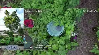 pd1 all three synced