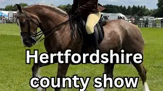 THATS SHOWING FOR YOU 🤦‍♀️ | Hertfordshire County Show Ridden C&D’s Show Vlog