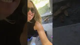 This is the coolest bee removal I did this season! Save the bees!!!