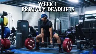 DAWN OF THE CYGNUS | 270KG 595LB X5