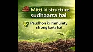 Mitti ka Doctor Humic Acid ✅#trending #farming #desifarmer #shorts #viralshorts 