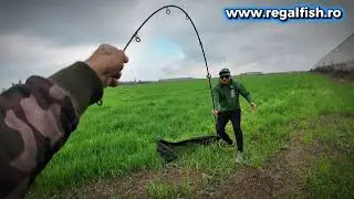 LANSETE DE CRAP 3.60 SI 3.90 3.75LBS PERFECTE PENTRU PESCUIT pe www.regalfish.ro