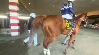 A powerful win by Mission First & jockey Abner Adorno for trainer Esteban Padilla 