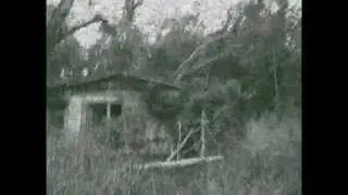 Buck Island & the Witch House in the Woods