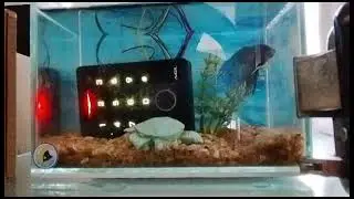 Controle de acesso CA1020 Bio Touch da AGL Bom at&eacute; de baixo d'&aacute;gua!😎😎😎