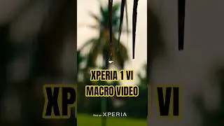 SONY XPERIA 1VI MACRO VIDEO