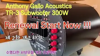 [2화] 수명이 다한 서브 우퍼 재생 하는 방법, Anthony Gallo Acoustics SUBWoofer #서브우퍼 #파워우퍼