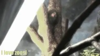 Pygmy Marmoset Peeking From Above (special effects video)