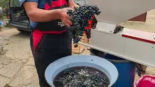 TREZAN NE MOŽE&Scaron; BITI U POLJOPRIVREDI PRAVIMO DOMAĆE VINO 