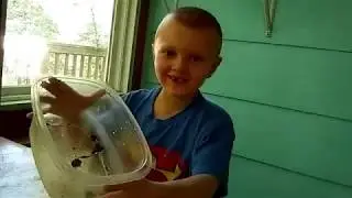 Endangered Mud Salamander!