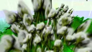 Прохождение Stranded 2 часть 2