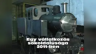 Egy vállalkozás sokoldalúsága 2011-ben