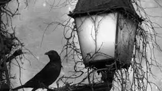 #139 O Corvo - Edgar A. Poe - Trad. Fernando Pessoa - Conto um Conto