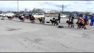 РИНГ NN 19 - 27b.avi
