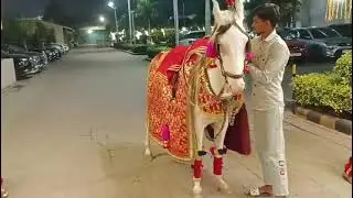MP WALA SHIV GAURAV BAND 🎺# address/men Mandoli road Ramnagar Shahdara Delhi 32 call 🤙 9818975131