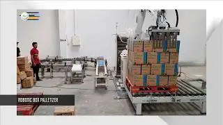 Robotic Box Palletizer