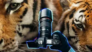 POV: TIGER and other animals at THE ZOO | STREET PHOTOGRAPHY
