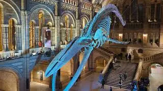 National History Museum I South Kensington | London