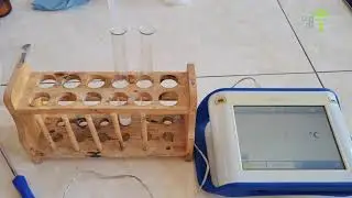 Энергияның өзгеруімен жүретін химиялық реакциялар