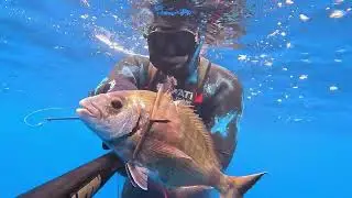PESCA SUB SARDINIA: FINALMENTE HO VISTO IL PRIMO DENTICIONE...SARAGONE XXL E CORVINONA XXL!!