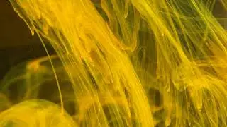 Yellow Ink Flows In Different Directions In Slow Motion - Free VJ Loops 2020 | Free Video Background