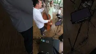 Fly Me To The Moon TRIO-VERSION | Jazzband Trio Merlot aus Stuttgart LIVE im Look21