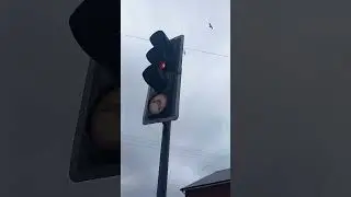 PEEK traffic light