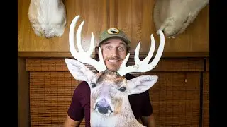BEST DEER DECOY?? | Heads-Up, Run-n-Gun Whitetail Hunting Decoy REVIEW!
