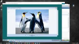 Продолжение настройки Falcongaze SecureTower 5.9