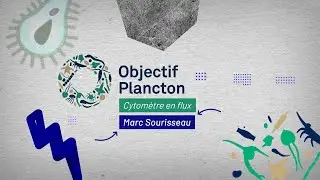 Le cytomètre et l'étude du plancton côtier en Bretagne 🔬