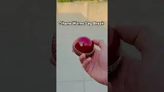 Leg Break Bowling Tips | Leg Spin Expert #shorts