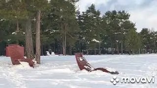 Карелия. Петрозаводск. Пески. 18.01.2026.