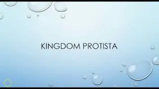 What is a Protist? (Protists 1/3)