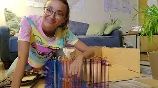Hamster Maze Race