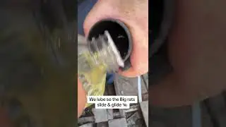 The ULTIMATE Rat sucking vacuum with peanut OIL&hellip;🐀🐀🥜🛢️