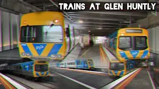 Trains at Glen Huntly - August 2023