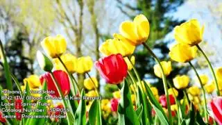 Kobana & Yane3dots - BN2 1TW (Blood Groove & Kikis Remix) [SPR059] [HD 1080p]