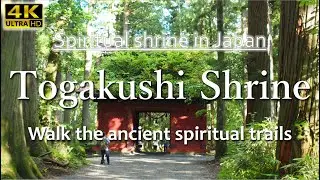Togakushi Shrine | Spiritual old shrine in Japan, walking along the old trail to main shrine | 4K
