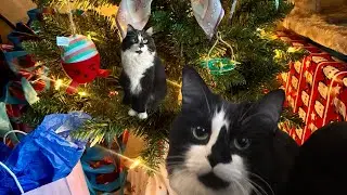Crochet Catnip Mouse - Catmas Advent Calendar Day 22