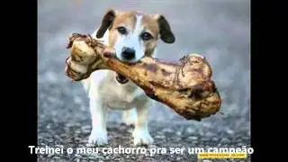 Eu não largo o osso As Paquitas 