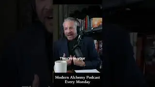 What's the difference between Feelings and Emotions? - Modern Alchemy Podcast Clip