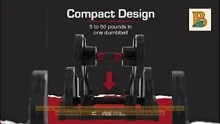 The Top 5 Weight Sets on Amazon Betties Reviews